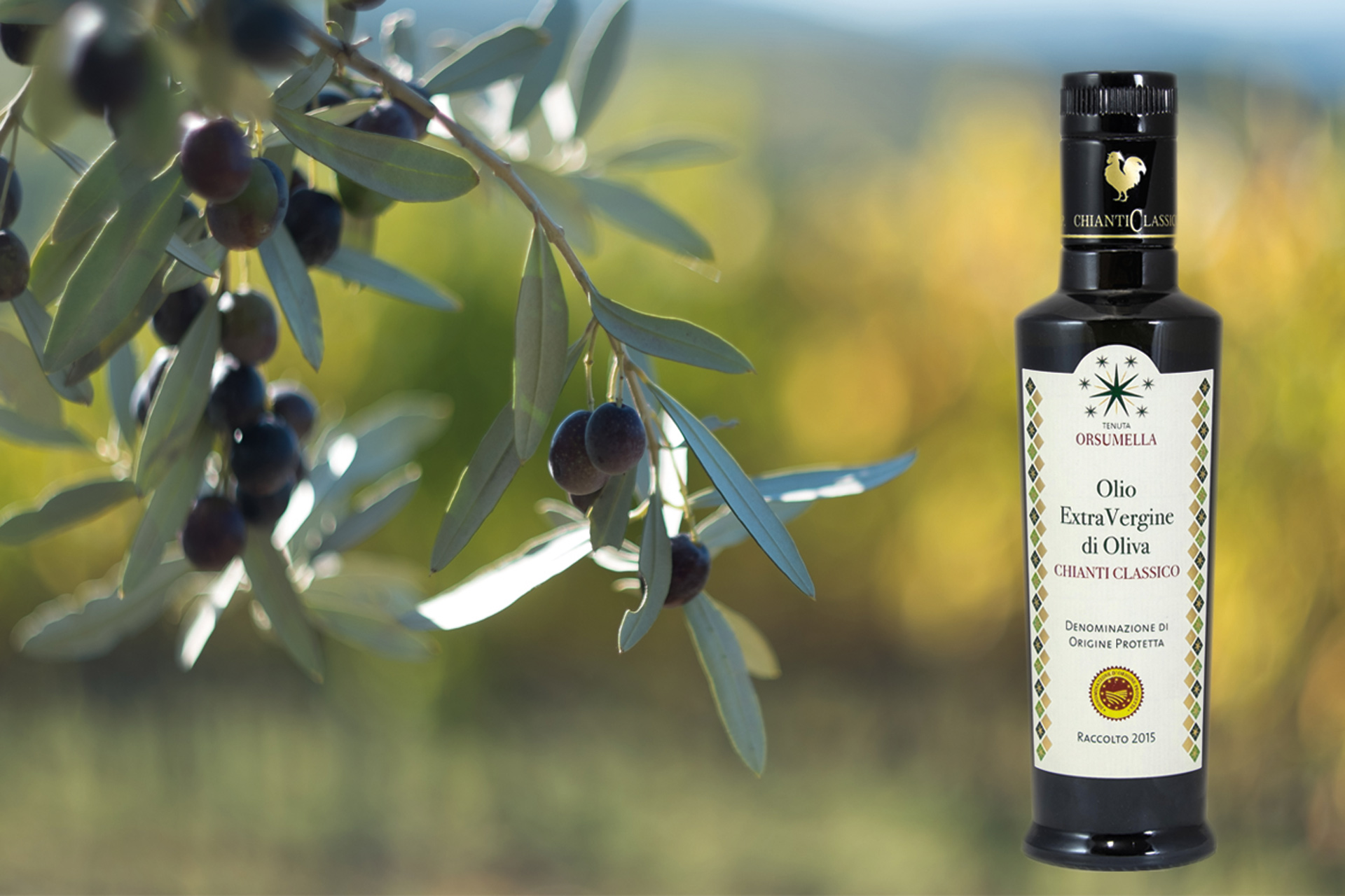 Orsumella Olio Chianti classico DOP